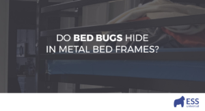 Do Bed Bugs Hide in Metal Bed Frames?