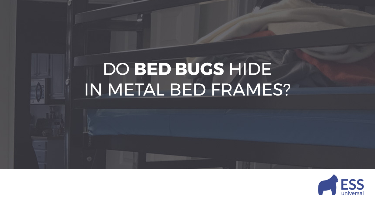 Do Bed Bugs Hide In Metal Frames, Hide Metal Bed Frame