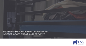 Bed Bug Tips for Camps: Understand, Inspect, Abate, Treat, and Prevent