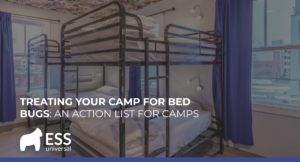 Treating Your Camp for Bed Bugs: An Action List for Camp Owners & Staff