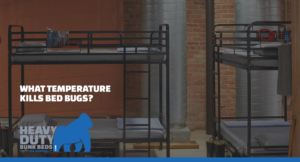 What Temperature Kills Bed Bugs?