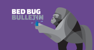 Bed Bug Bulletin: Do Bed Bug Sprays Work?