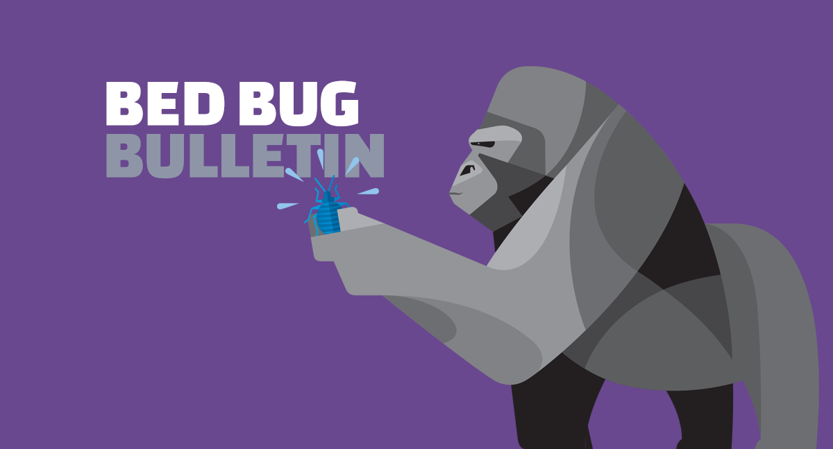A Quick Guide to Controlling Bed Bugs in College Dorms ESS Universal